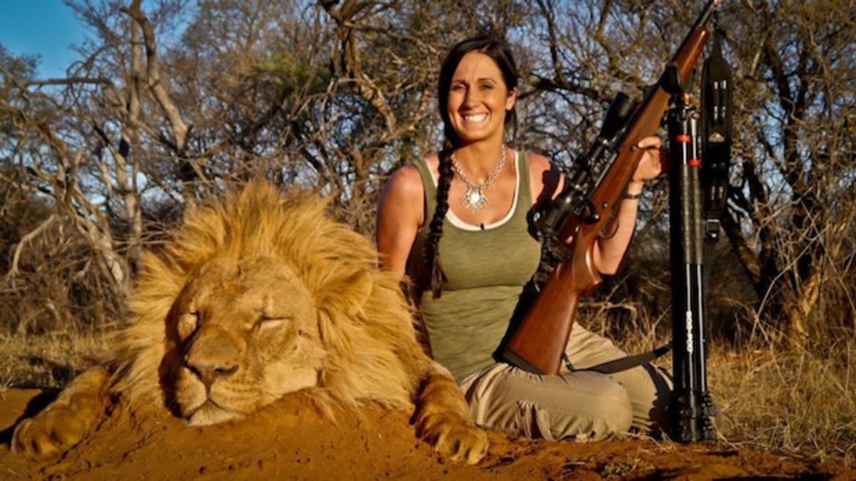 Photos showing Melissa Bachman posing with trophy lion are from her Facebook page