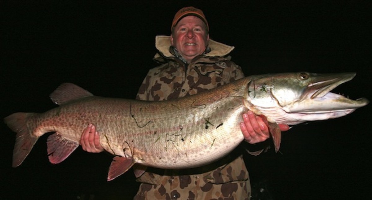 Mark Carlson poses with 52-inch muskie that probably will set a new world record. Photo by IGFA